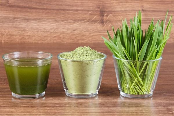 Ly nước bột lúa mạch non màu xanh mát lạnh vị matcha
