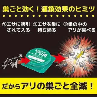 vn-11134207-7r98o-lme43lkvc4wv5e.png